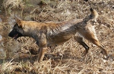 Publication : Du domaine de la Rosiere