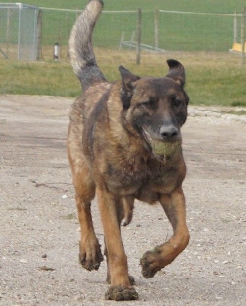 Publication : Du domaine de la Rosiere