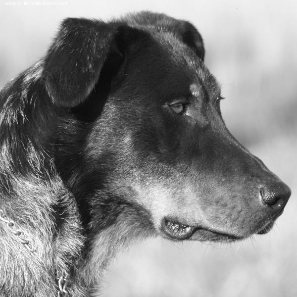 Udinlympe De la vallée de montmorency - exc.n.c