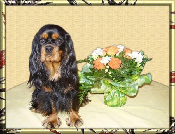 Chanel Du mas paskalia - 2ème excellent classe intermédiaire