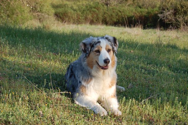 Publication : Of surf paradise