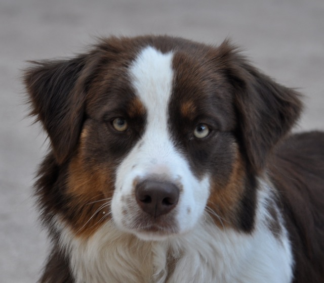 Publication : Of surf paradise Auteur : Alain-Louis Aymard