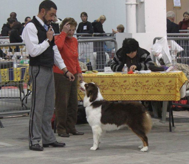 Publication : Of surf paradise Auteur : Alain-Louis Aymard