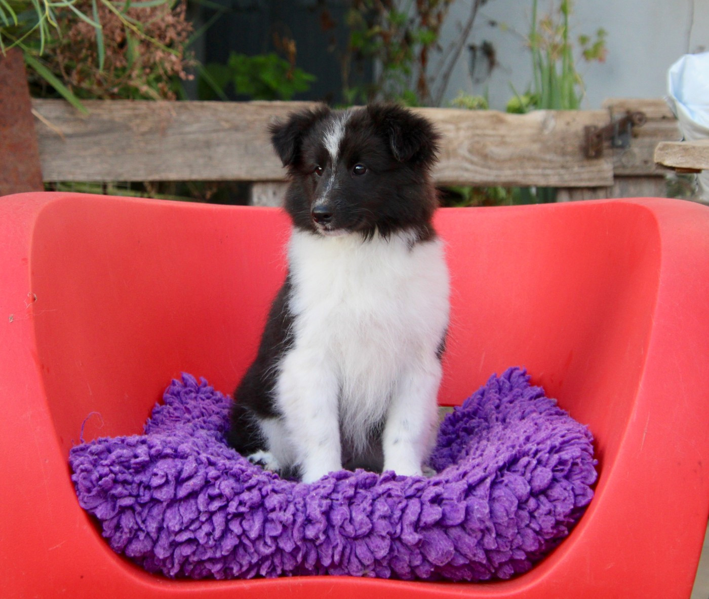 Publication : Of surf paradise Auteur : M. AYMARD