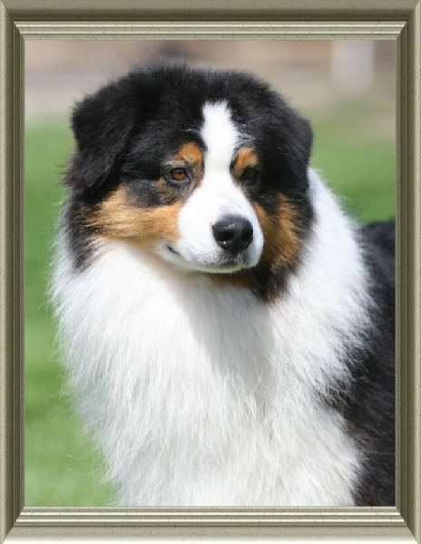 Publication : Of surf paradise