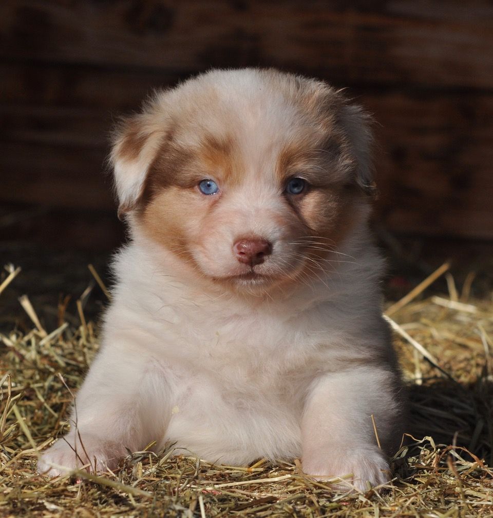 Publication : Of surf paradise Auteur : Alain-louis Aymard