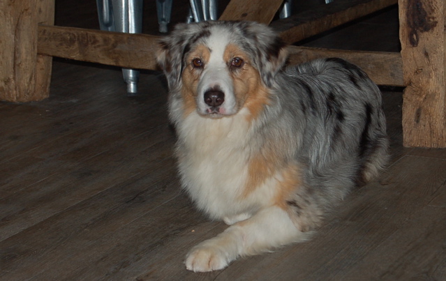 Publication : Of surf paradise