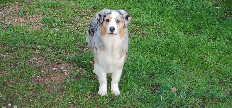 Publication : Of surf paradise