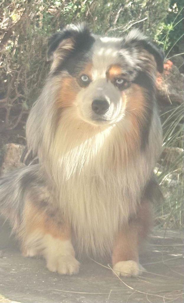 Publication : Of surf paradise