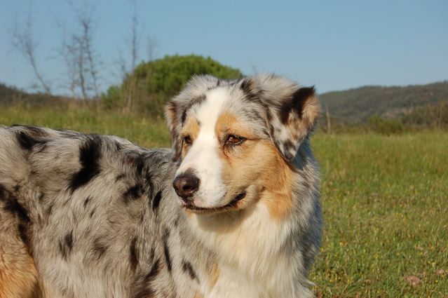 Publication : Of surf paradise