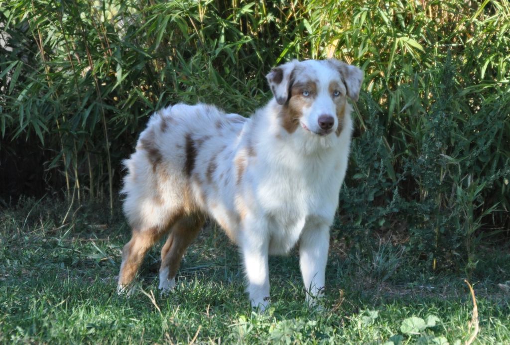 Publication : Of surf paradise Auteur : Alain-louis Aymard