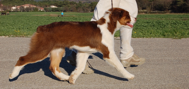 Publication : Of surf paradise Auteur : Alain-Louis Aymard