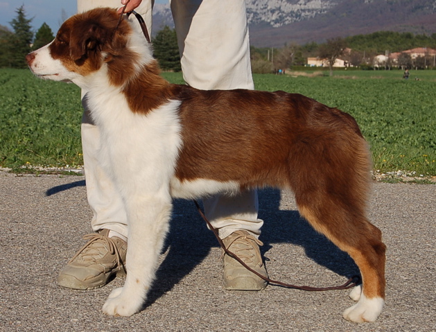 Publication : Of surf paradise Auteur : Alain-Louis Aymard