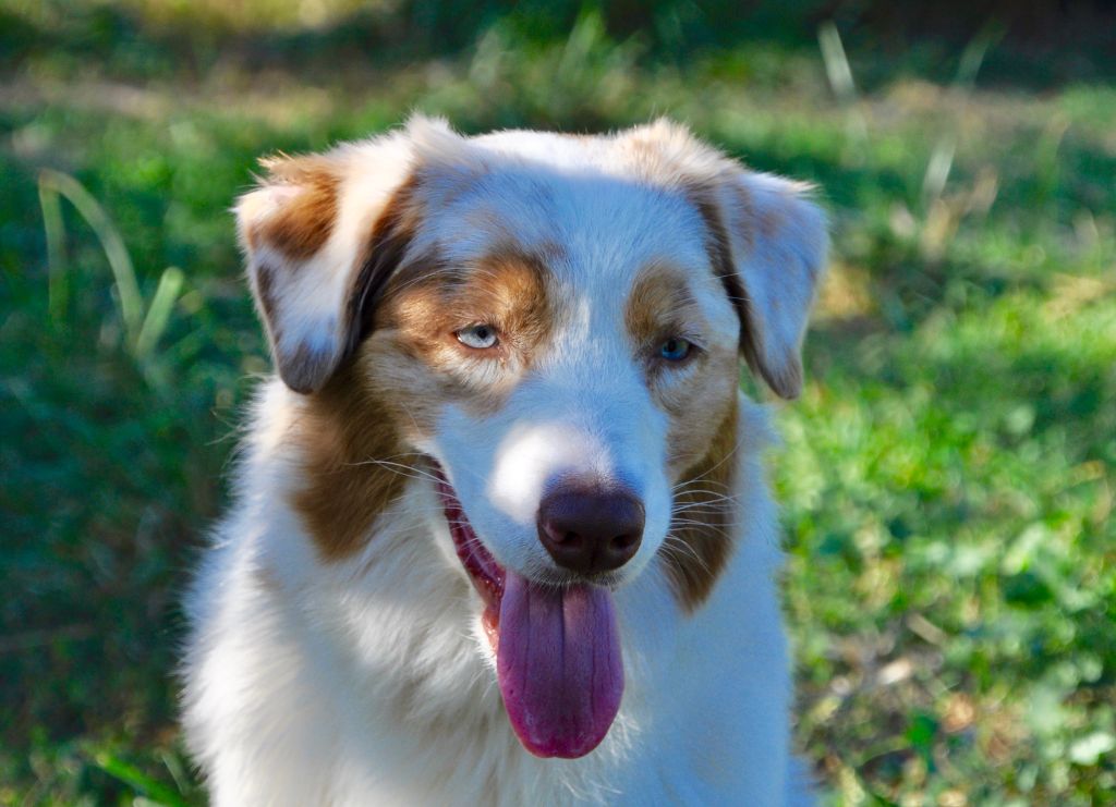 Publication : Of surf paradise Auteur : Alain-louis Aymard