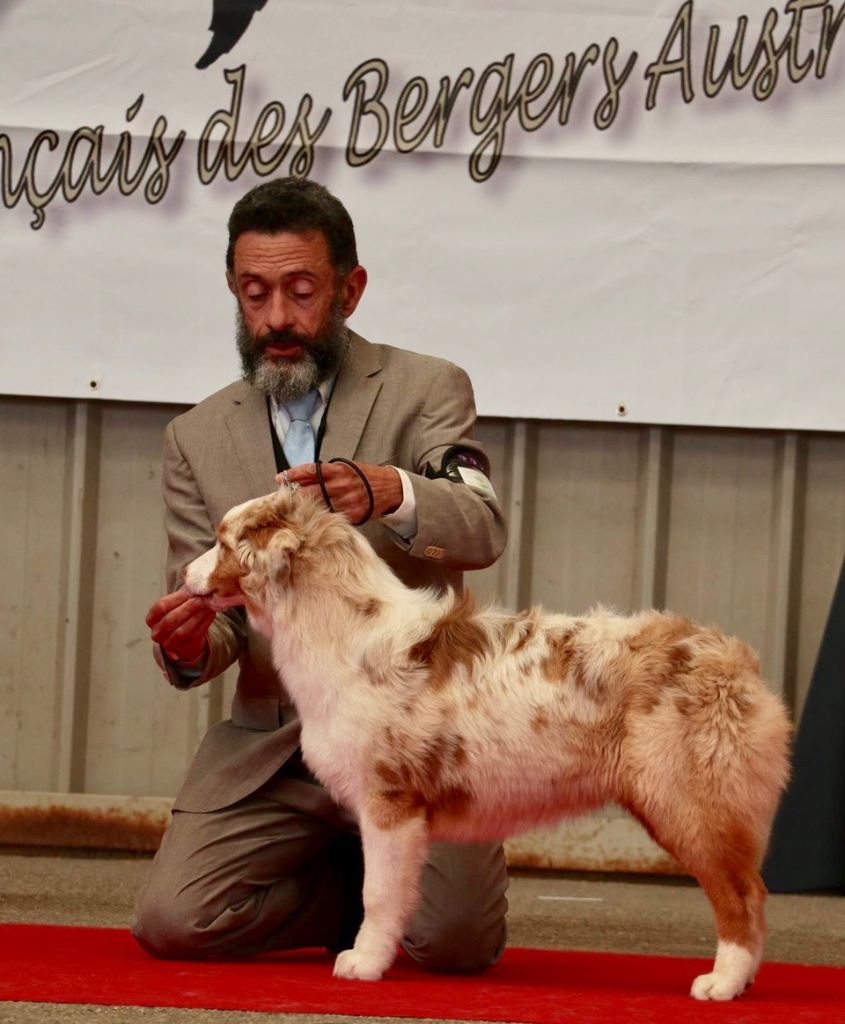 Publication : Of surf paradise Auteur : Alain-louis Aymard