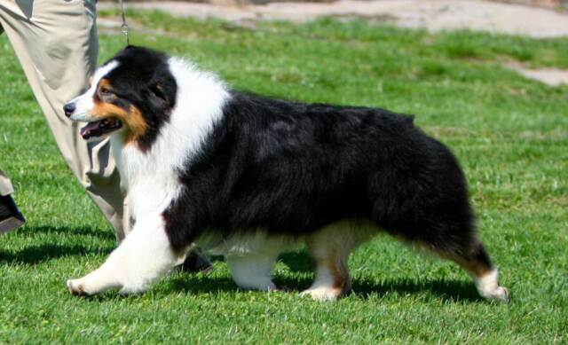 Publication : Of surf paradise