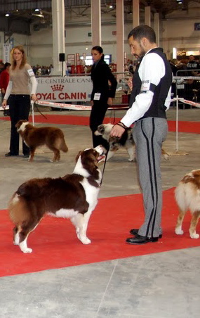 Publication : Of surf paradise Auteur : Alain-Louis Aymard