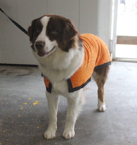 Publication : Of surf paradise Auteur : Alain-Louis Aymard