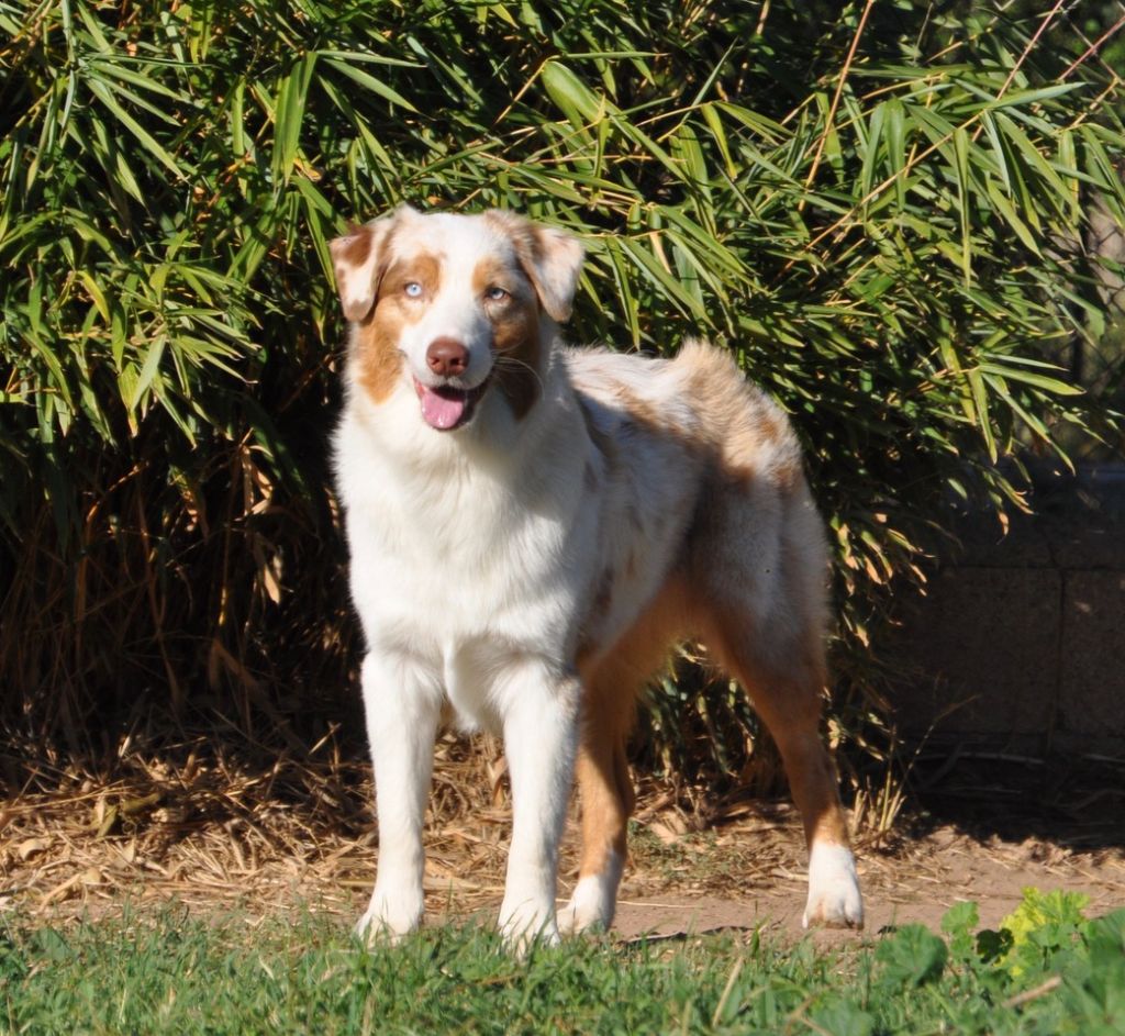 Publication : Of surf paradise Auteur : Alain-louis Aymard