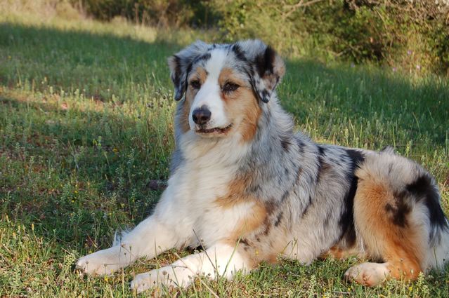 Publication : Of surf paradise