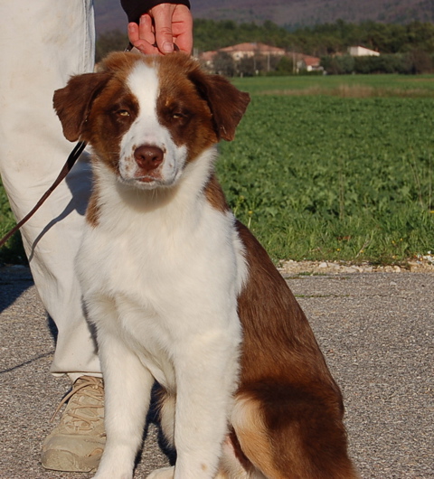 Publication : Of surf paradise Auteur : Alain-Louis Aymard