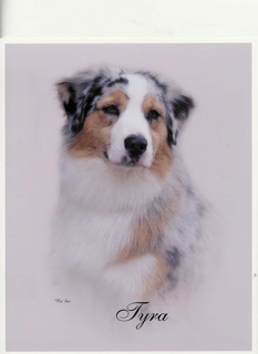 Publication : Of surf paradise