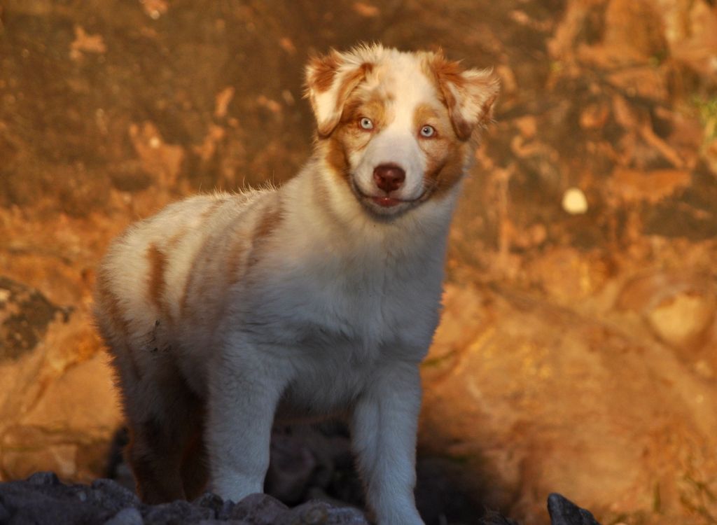 Publication : Of surf paradise Auteur : Alain-louis Aymard