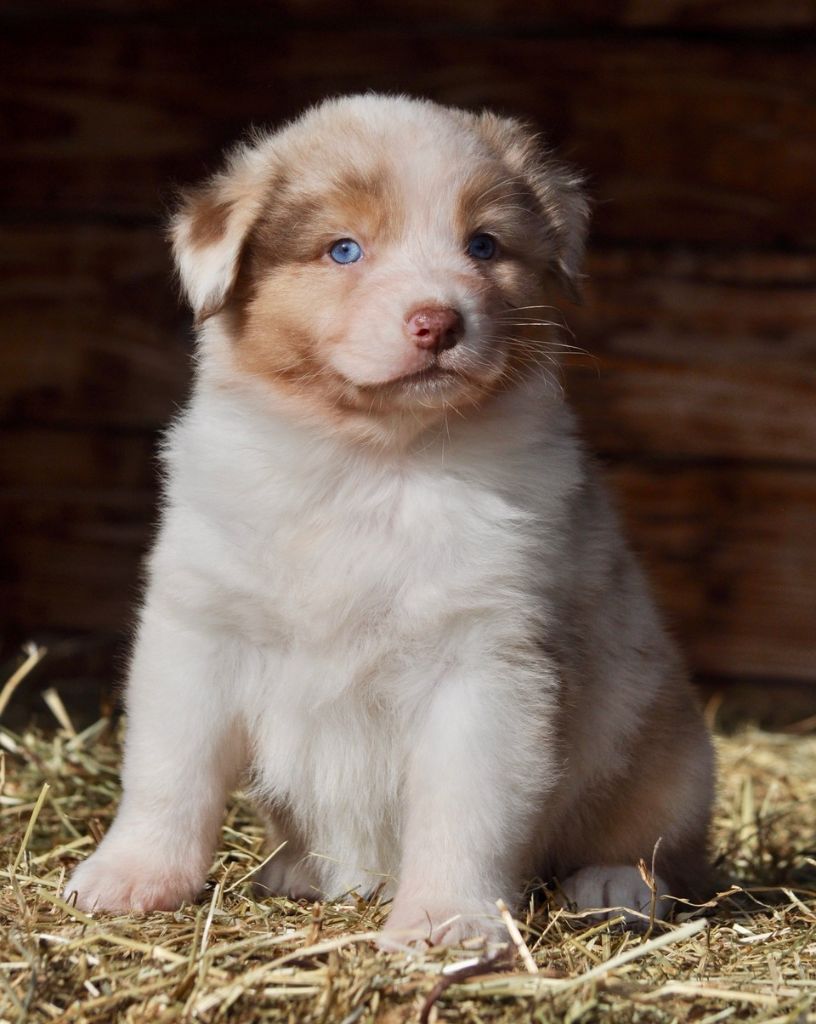 Publication : Of surf paradise Auteur : Alain-louis Aymard