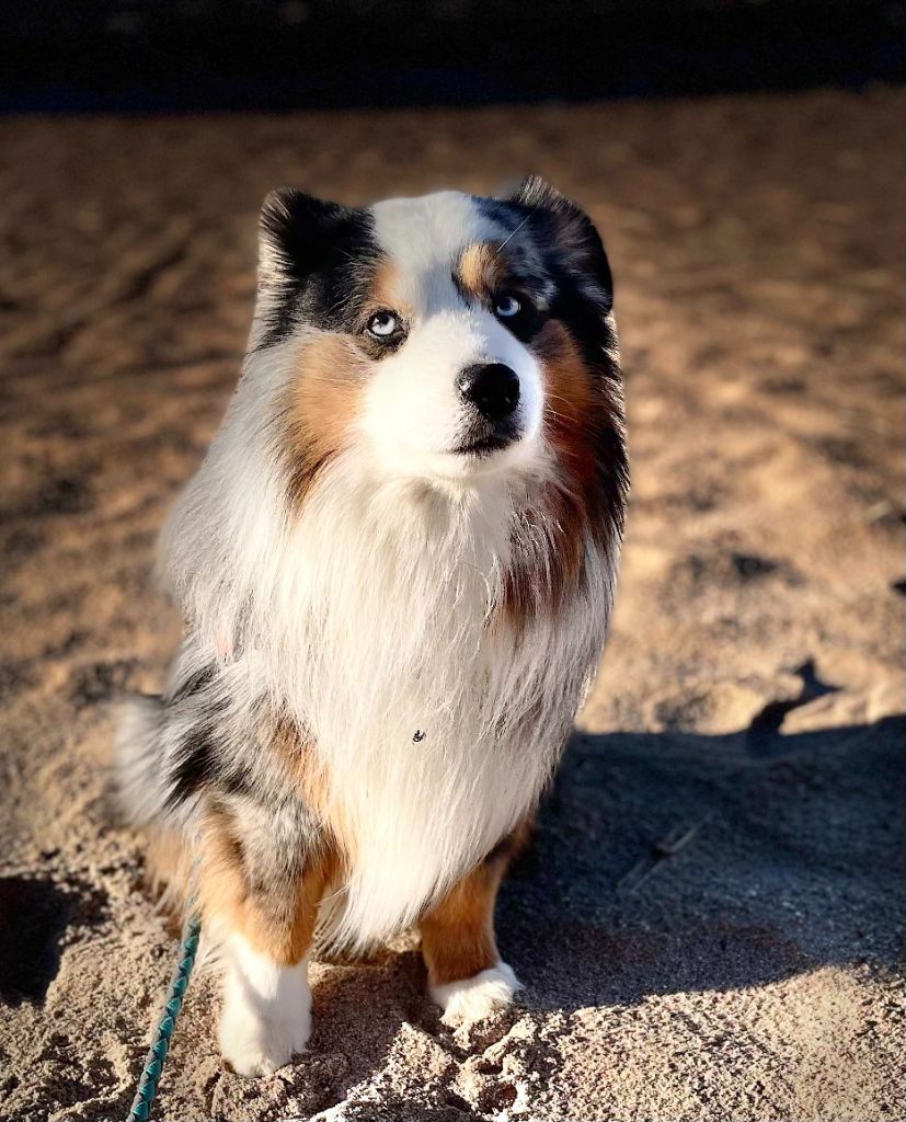 Publication : Of surf paradise