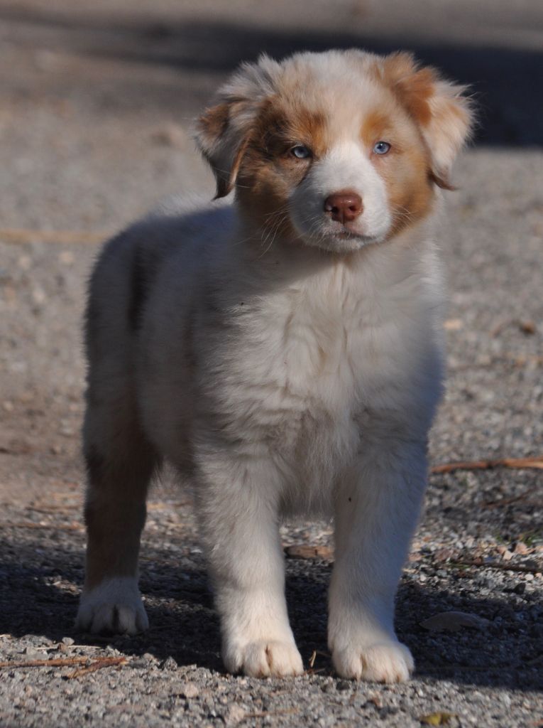 Publication : Of surf paradise Auteur : Alain-louis Aymard