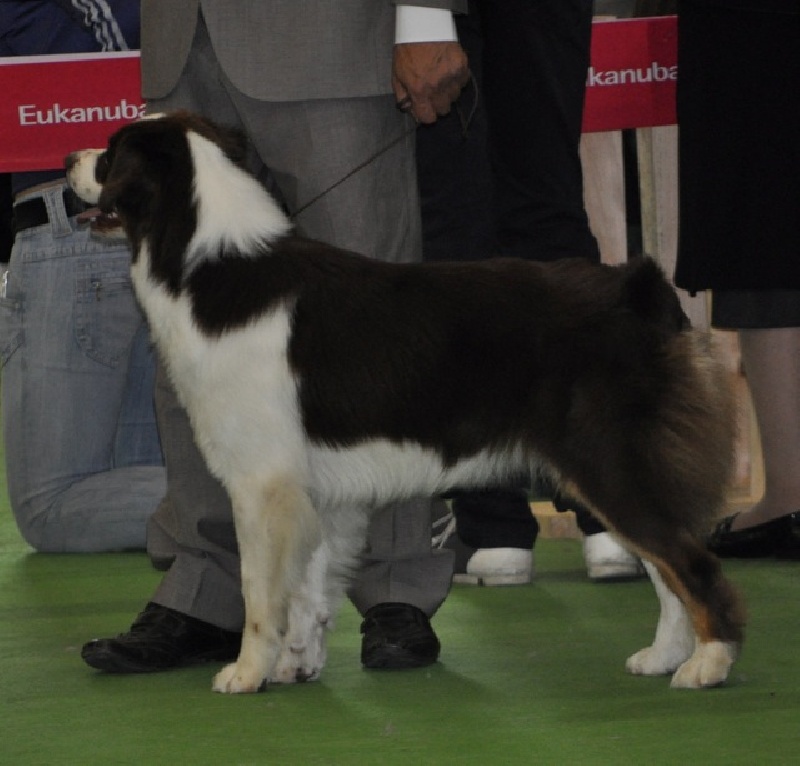 Publication : Of surf paradise Auteur : Alain-Louis Aymard