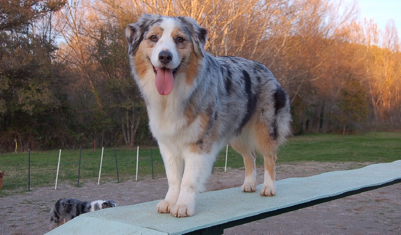 Publication : Of surf paradise