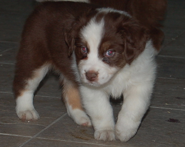 Publication : Of surf paradise Auteur : Alain-Louis Aymard