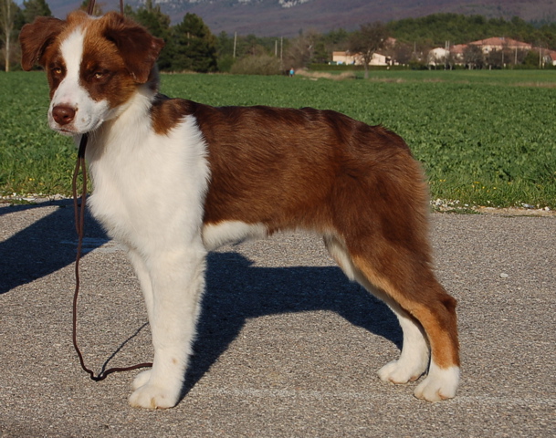 Publication : Of surf paradise Auteur : Alain-Louis Aymard