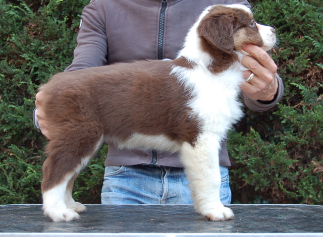 Publication : Of surf paradise Auteur : Alain-Louis Aymard