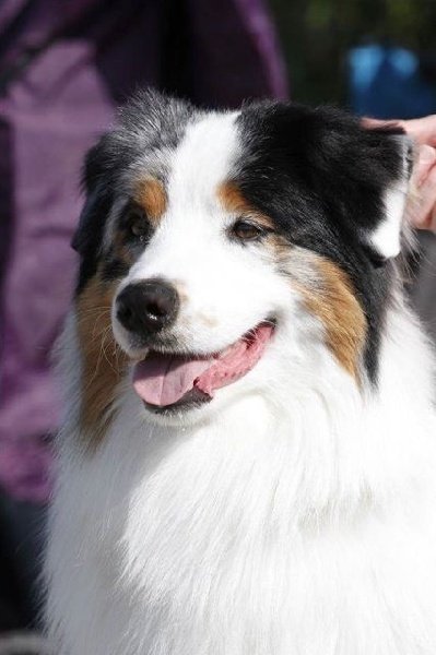 Jump the granit Of surf paradise - EXC 2 en Classe Jeune