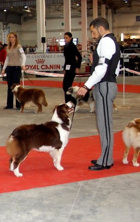 Esperance lucky bay dite ella Of surf paradise - 2éme Excellent en classe jeune