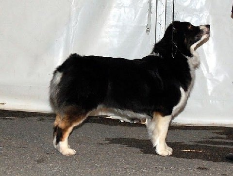 Cold case Of surf paradise - Excellent 2eme en classe ouverte RCACM - RCACIB