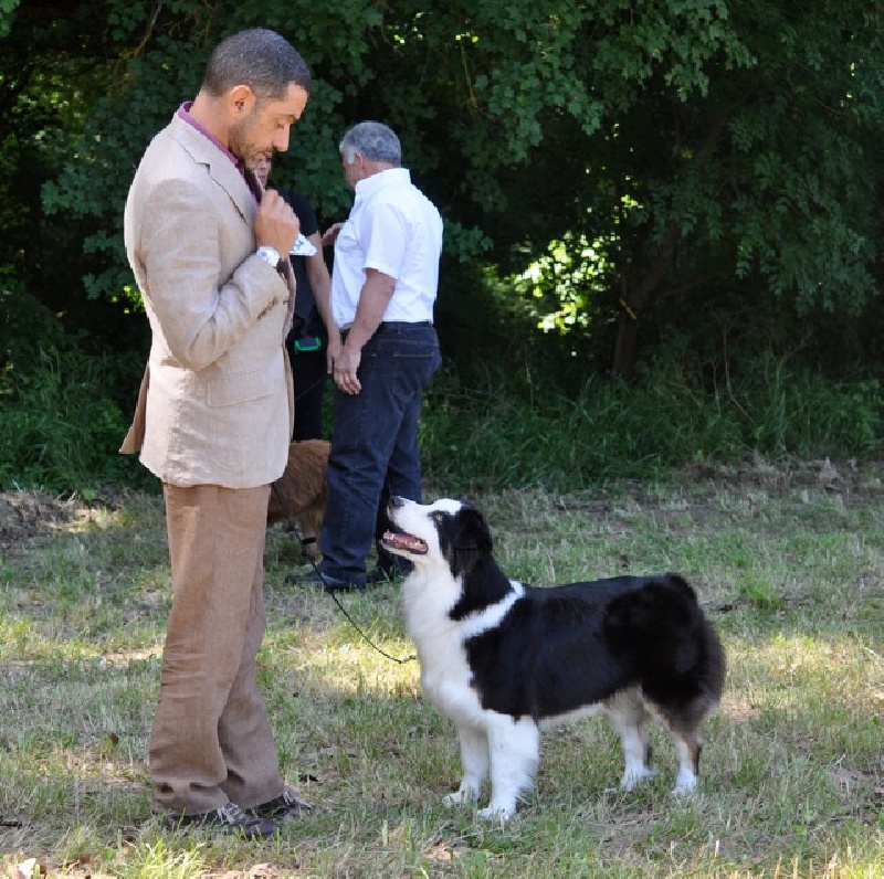 Cold case Of surf paradise - RCAC-S