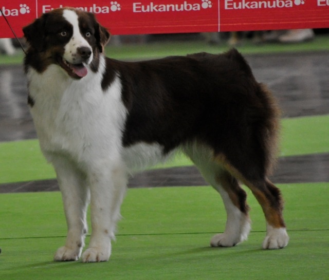 Esperance lucky bay dite ella Of surf paradise - EXC Non classée en Classe Intermédiaire