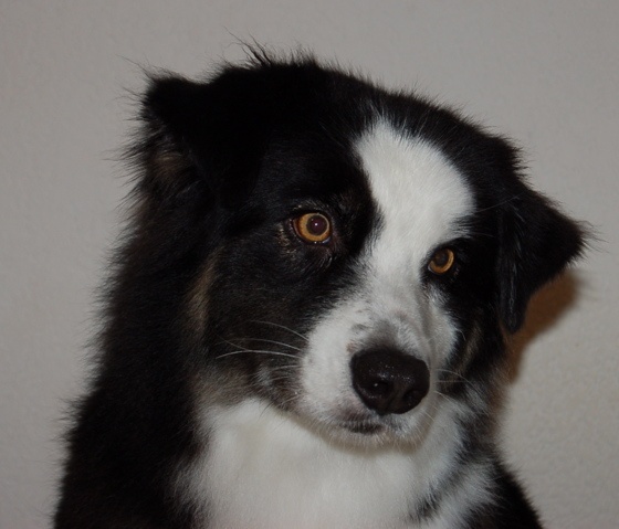 Cold case Of surf paradise - EXCELLENT 3éme Place en classe OUVERTE