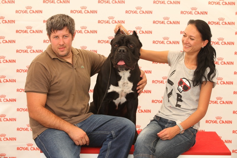 CH. Ghost von Mordore - Exc. III