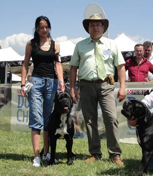 CH. Ghost von Mordore - Exc. I - CAC - CACIB - BOB