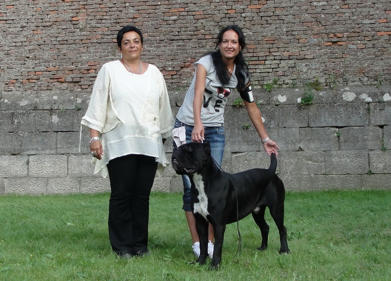 CH. Ghost von Mordore - Exc. I - J.CAC - BEST JUNIOR - BEST MALE - BEST OF BREED - BEST OF GROUP