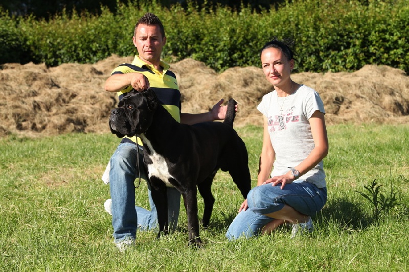 CH. Ghost von Mordore - Exc.I - JCAC - BEST JUNIOR - BEST OF BREED - BEST OF GROUP