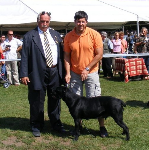 CH. Maraya Della porta dipinta - CAC - CACIB - BOB