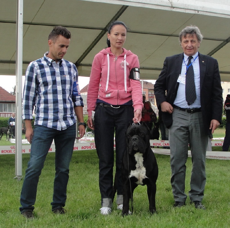 CH. Ghost von Mordore - CAC + BEST MALE, BOS