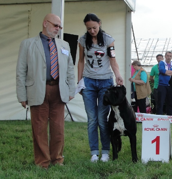 CH. Ghost von Mordore - CAC + CACIB + BEST MALE, BOS