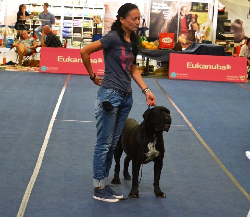 CH. Kitana von Mordore - Exc.1 + CAC + RCACIB