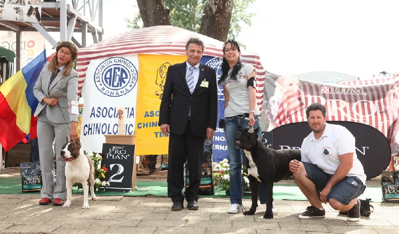 CH. Ghost von Mordore - Exc.I + JCAC + Best Junior + Best of Breed + Junior Best in Show